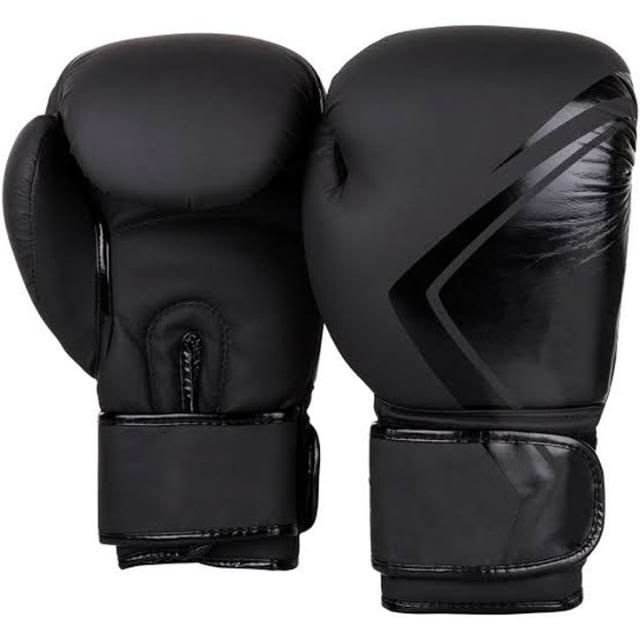 Professional Boxing Gloves